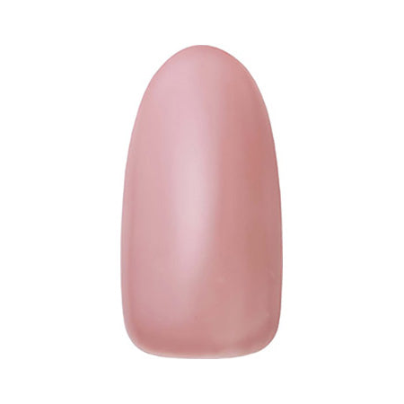 DNA GEL (Denagel) Color Jerjell N02 Shell 2.5g