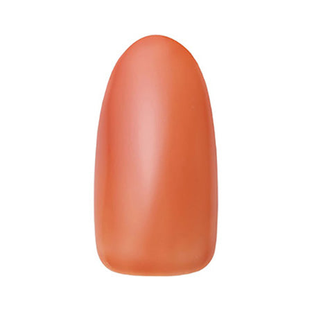 DNA GEL (Denagel) Color Jajel S02 Aplicotto 2.5g