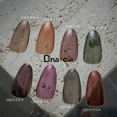 Dna Gel Color Gel C20 Sustake 2.5g