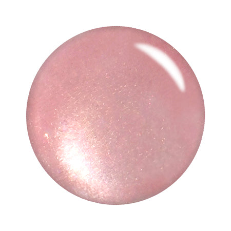 T-GEL Color Gel MG-SS005 Magnet Blush Berry 4ml