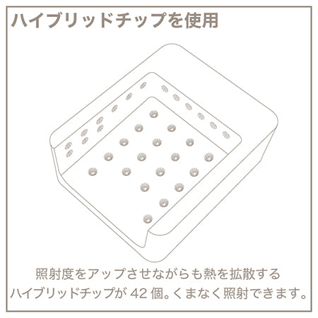 TOY's x INITY Hybrid Light