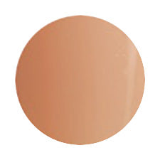 PREGEL Color EX Biscuits Beige PG -CE106 4G