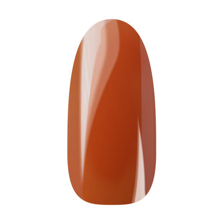 Ann Professional Color Jell 040 Orange