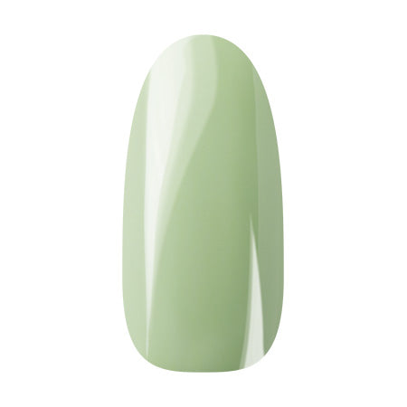 Ann Professional Color Jell 046 Pastel Green