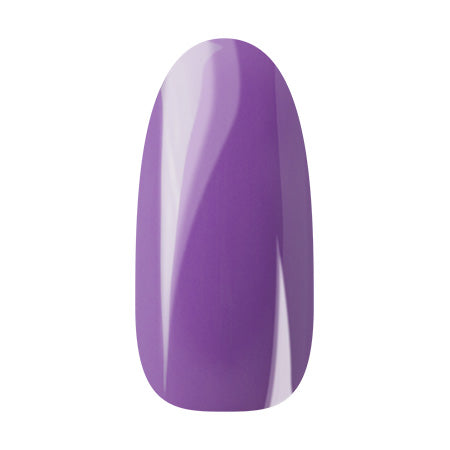 Ann Professional Color Jelle 054 Purple