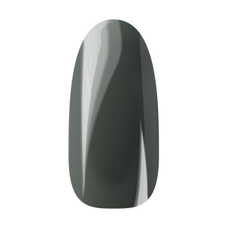 Ann Professional Color Jell 066 Smoke Moss Gray