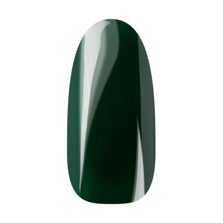 Ann Professional Color Jajel 110 Dark Green