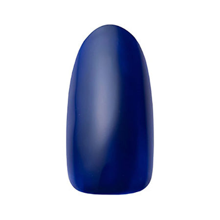 DNA GEL Color Gel MBL05 Indigo 2.5g