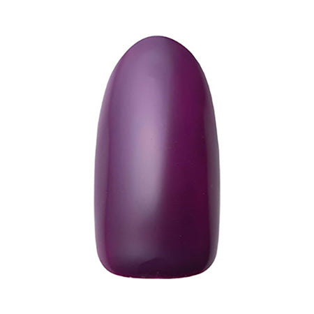 DNA GEL Color Gel MPP07 Plum 2.5g