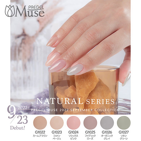 PREGEL Primedor Muse Natural Series 3g x 6 Color Set