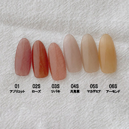 D. NAIL Botanical Gel 6 Color Set ? (01S -06S)