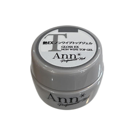 Ann Professional Glossy EX Non -Wipe Top Gel GLOSS EX NON WIPE TOP GEL 4G