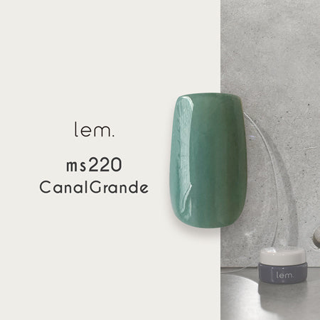 LEM. (Rem) Color Jelle MS220 Canal Grande