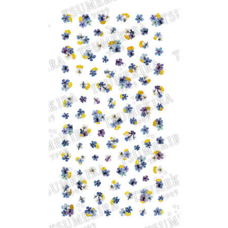 Tsumekira [noble] Dried flowers and gold leaf 3 Blue NO-DFG-003 (for gel only)