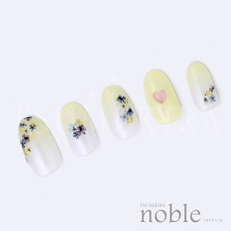 Tsumekira [noble] Dried flowers and gold leaf 3 Blue NO-DFG-003 (for gel only)