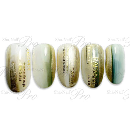 ◆ShaNail Plus Font Box Gold