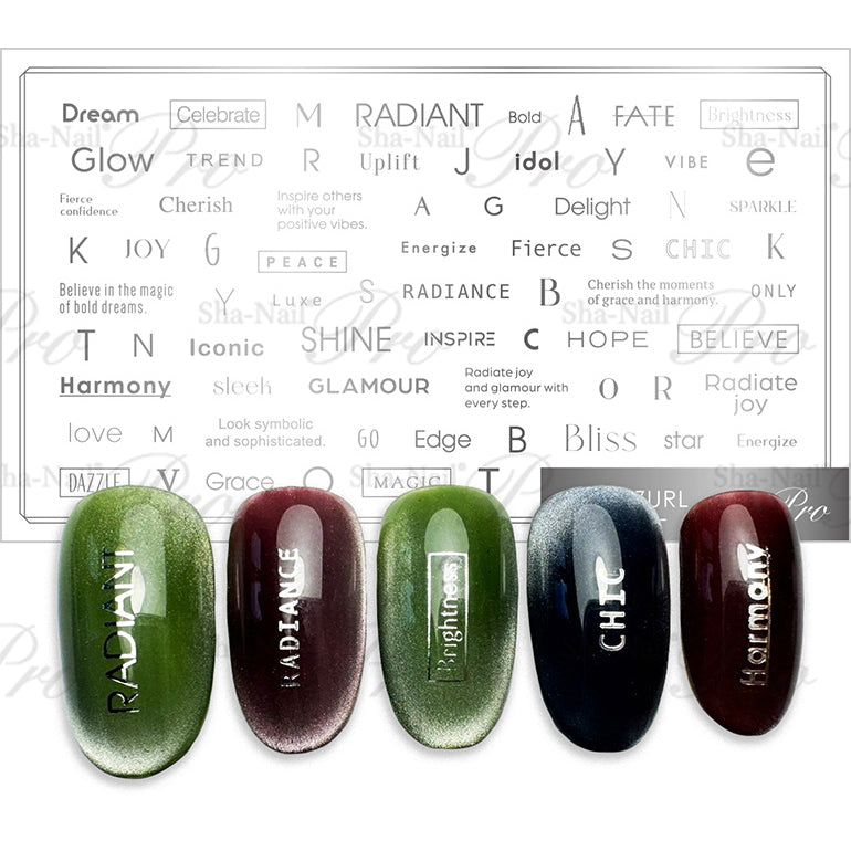 ◆ShaNail Plus Font Box Silver