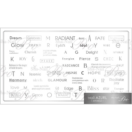 ◆ShaNail Plus Font Box Silver