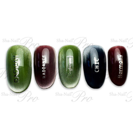 ◆ShaNail Plus Font Box Silver