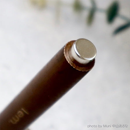 lem. (lem) Neodymium Magstec LM-NMS