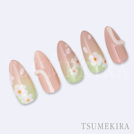 Tsumekira Sakura 10 NN-SKR-010
