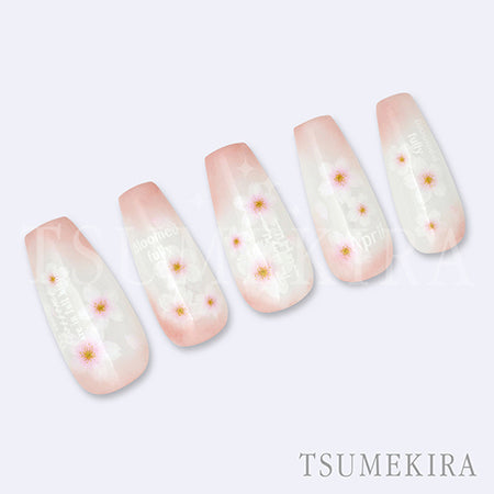 Tsumekira Sakura 10 NN-SKR-010