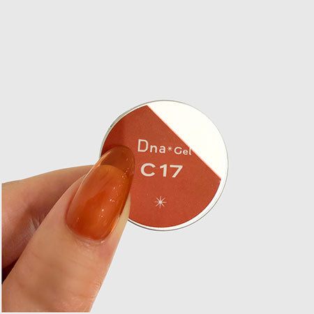 Dna Gel Color Gel C17 Perilla 2.5g