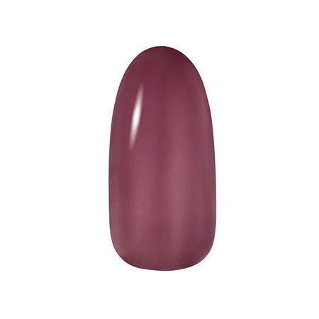 Dna Gel Color Gel C21 Nakabeni 2.5g