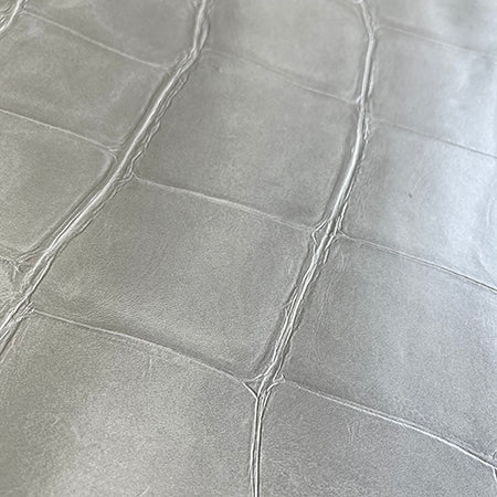 ◆NOVEL T777 NOVEL art wall (white crocodile)