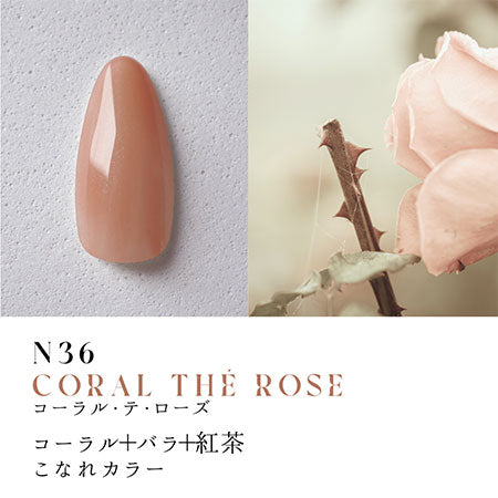 Dna Gel Color Gel Botanical Mellow 10-Color Series