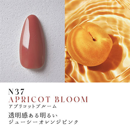 Dna Gel Color Gel Botanical Mellow 10-Color Series