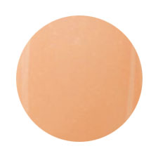 PREGEL Color EX Pearl Beige PG -CE503 4G