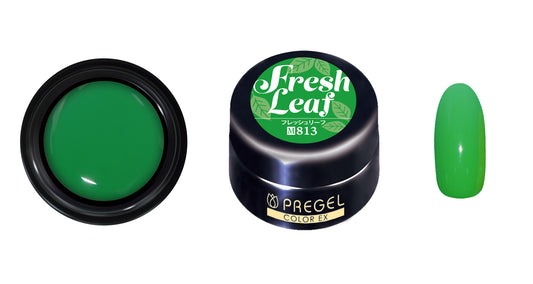 PREGEL Color EX Fresh Leaf PG -CE813 3G