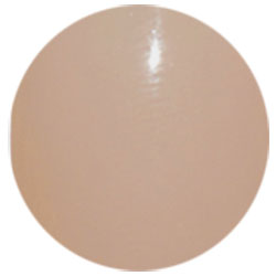 PREGEL Color EX Nude Ocher PG -CE826 3G