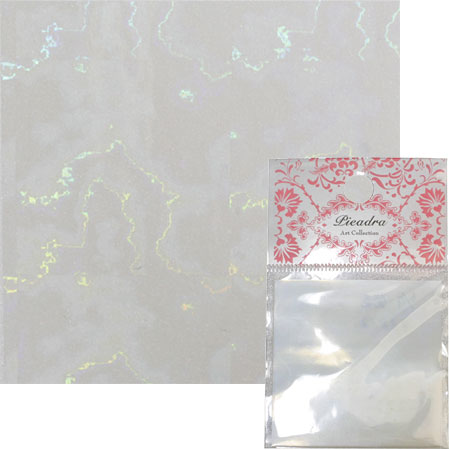 SHAREYDVA transfer foil aurora shell 5 pieces set